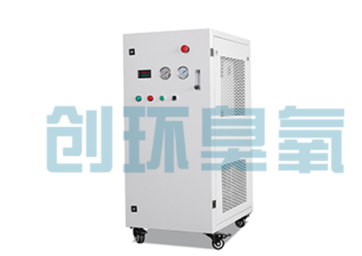 阿里石斑鱼养殖水质调控完整指南：臭氧发生器配置与操作步骤