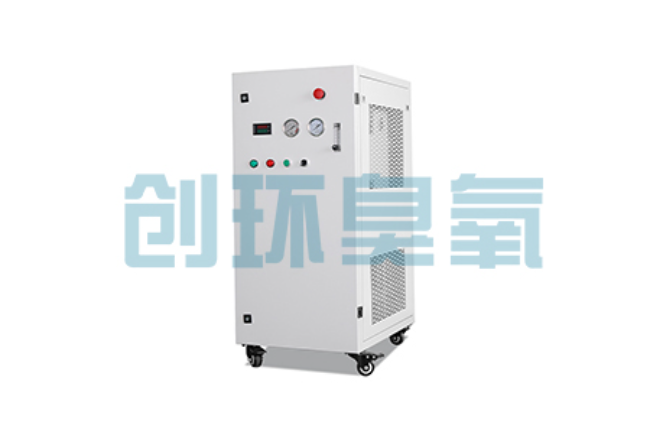 阿里比传统换水更高效？臭氧发生器在石斑鱼养殖中的水质净化原理解析